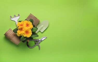 Brightly colored flowers and gardening tools arranged on a vibrant green background ready for...