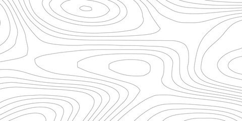 White paper wave curve relief geometric wave grid line background. . Abstract wavy topographic map and curved lines background. Vector illustration.