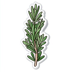 Fototapeta premium cute smiley happy cartoon stickerrosemary sprig herb plants character ingredient illustration drawing, white background 
