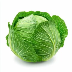 Obraz premium Fresh Green Cabbage Head