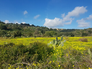 Paesaggio