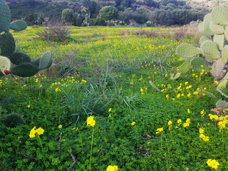 Paesaggio