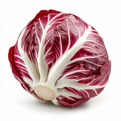Vibrant Radicchio Head