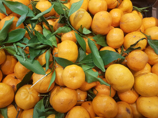 Ortaggi e frutta