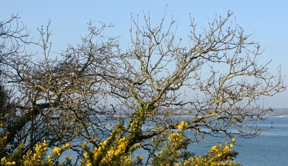 Ballade sur les bords de Cap-Coz et Beig Meil en Finistère Cornouaille Bretagne France	