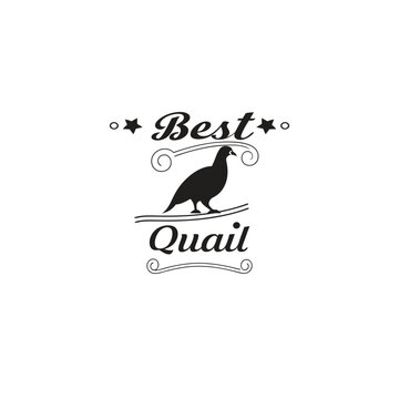 : Ventage-style-typography-best-t-shirt-design-with- quia.