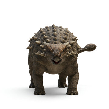 ankylosaur front view isolated on white 3d render