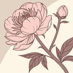 Blush Pink Peony Line Art: Elegant Floral Vector Illustration - Wedding.