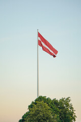 Big red-white-red Latvian flag on a pole waving in the wind with light blue sky and green leaf tree on the bottom, Riga, Latvia