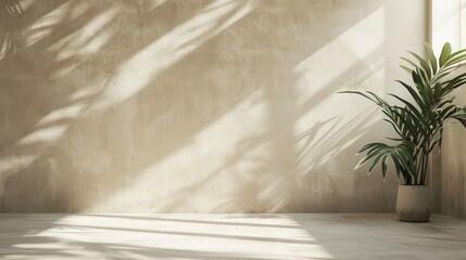 Minimalist Empty Room with Beige and White Backgrounds and Concrete Floor with Sun Ray and Cozy Home Indoor Plant