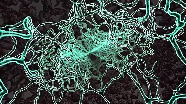 vector illustration of an abstract background