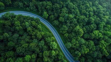 Aerial view of winding road through green forest with electric vehicle driving on asphalt amidst lush foliage