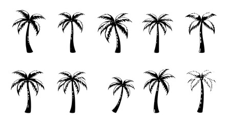 Fototapeta premium set of palm trees vector icon