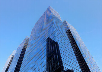 Obraz premium Reflective skyscrapers, business office buildings