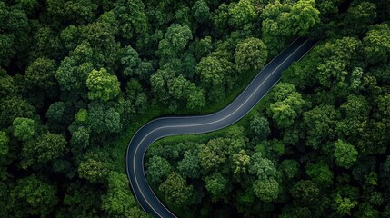 Aerial View of Winding Road Through Green Forest with Electric Vehicle Driving on Asphalt Along Scenic Route