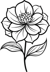 a drawing of a lotus flower 