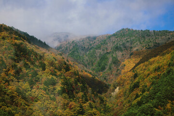 Fototapeta premium autumn landscape in the mountains