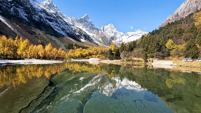 Landscape Bipenggou Valley - Most Beautiful Panyang Lake or Argali Lake and Yellow Tree with Snow Mountain  in Mount Bipenggou National Park in Xiaojin Sichuan Province China - Stable Footage Autumn
