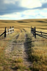 Obraz premium Exploring a serene dirt road through open fields under a cloudy sky