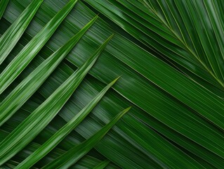 Vibrant green palm leaves create a tropical backdrop full of life and vitality.
