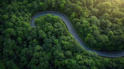 Aerial view of winding road through green forest with electric vehicle driving on asphalt road surrounded by trees