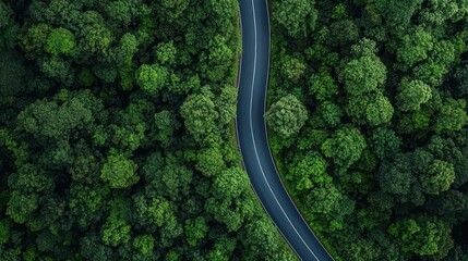 Aerial View of Winding Road Through Green Forest with Electric Vehicle Driving
