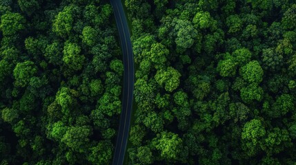 Aerial View of Electric Vehicle Driving on Asphalt Road Through Lush Green Forest in Mountain Eco Environment