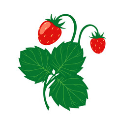 postcard with strawberries, isolated element