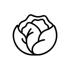 Cabbage 