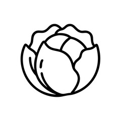 Cabbage 