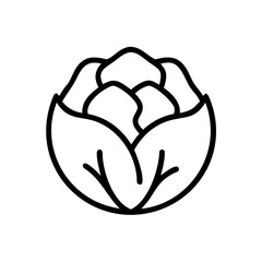 Cabbage 