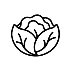 Cabbage 
