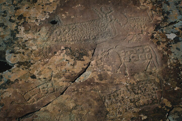 Close-up of ancient petroglyphs carved into rocky surfaces in the Altai Republic, showcasing historical and cultural significance.
