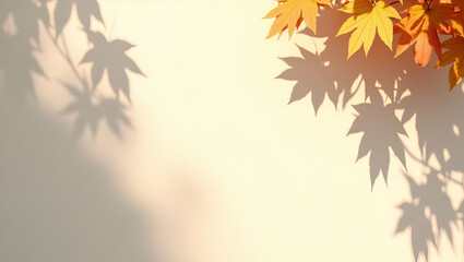 Empty wall background with sunlight superimposed shadow leaves on the wall autumn background template for product presentation concept. concept as Empty wall with sunlight casting leaf shadows creatin