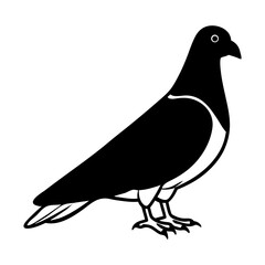 vector illustration of a pigeon  silhouette vector