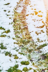 Winter ending with snow melting on grass
