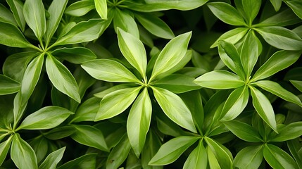 Obraz premium Vibrant Green Lush Foliage Botanical Background Texture