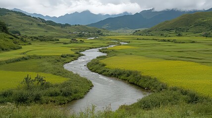 Serpentine River Winding Through Lush Green Valley and Golden Fields