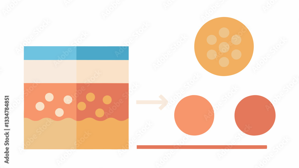 Poster particle size comparison create a simple chart comparing the size of bb cream particles at the micro