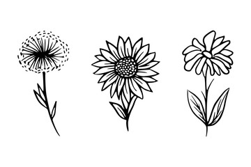 Set of Flower Line Art Drawing, Wildflower Line Art Illustration, Monochrome Wildflower Line Drawing