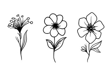 Wildflower Botanical Line Art, Minimalist wildflower contour drawing with detailed line work, Flower Line Art Drawing
