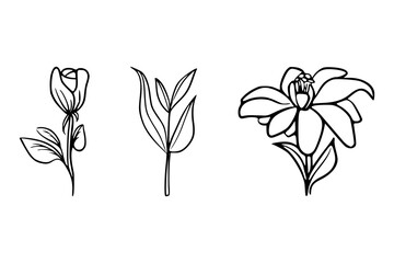 Minimalist Black and White Wildflower Line Art Vector, Set of Hand-Sketched Wildflower Botanical Line Art, Minimalist Wildflower Sketch