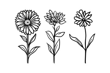 Fine Line Floral Wildflower Vector for Elegant Designs, Minimalist Botanical Flower Sketch in Line Art Style, Elegant Hand-Drawn Wildflower Floral Illustration