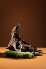 Modern still life art with stone, moss, branches, mushrooms, spring flowers and driftwood. A place for your natural beauty product