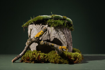 Contemporary still life with dried hydrangea, dried eryngium flowers and brown corkscrew on a dark background Northern natural composition with lichen, moss, branches, dried flowers and driftwood. 