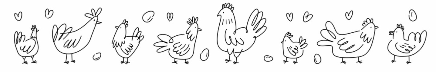 Vector horizontal collection of chickens drawn in thin line in doodle style