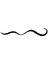 Line clip art design on plain white transparent isolated background for card, shirt, hoodie, sweatshirt, apparel, tag, mug, icon, poster or badge