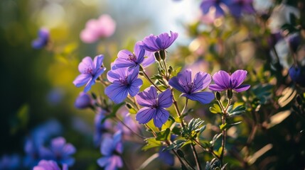 Vibrant Macro Illustration of a Natural Beauty Flower with Colorful Flora Background