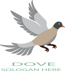 Dove logo icon vector .