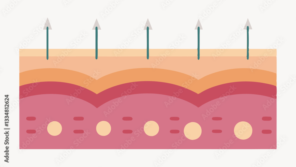 Poster needle penetration a side view of the skin surface with arrows illustrating the depth of microneedle